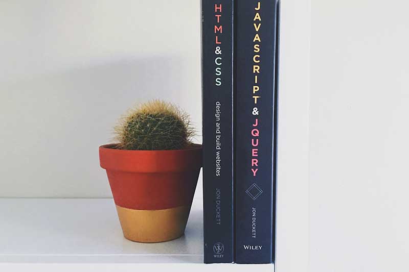 Dwie książki i kaktus