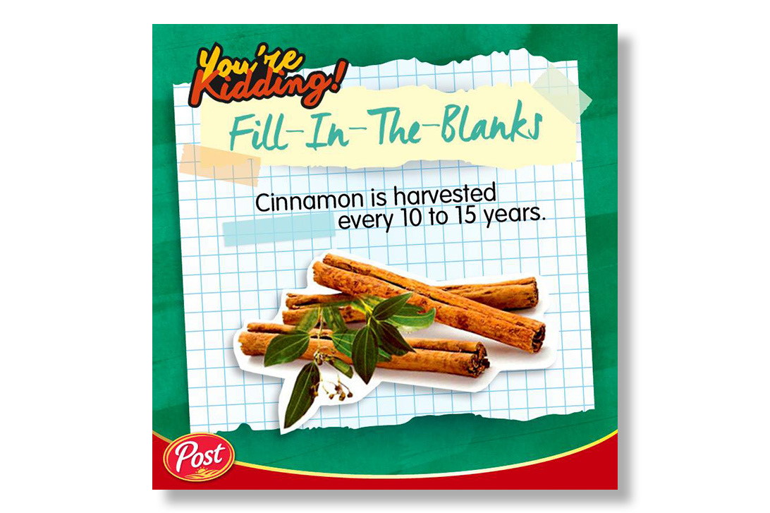 Fill in the blanks, czyli wypełnij lukę: Cinnamon is harvested (Twoja odpowiedź) every 10 to 15 years