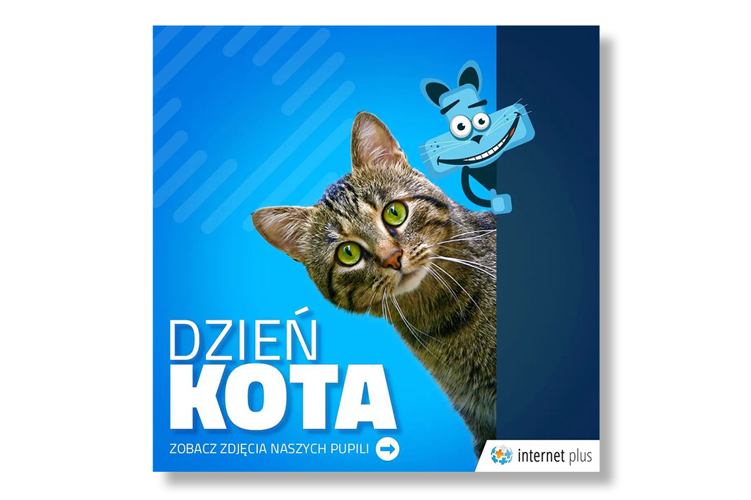 Dzień Kota - instagramowa grafika przedstawiająca kota